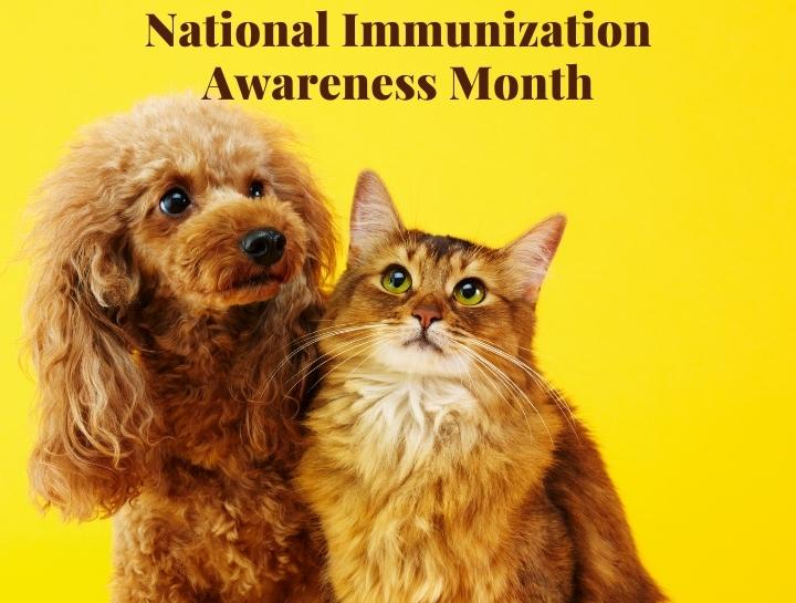 National Immunization Awareness Month